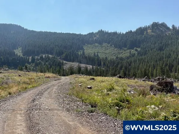 0 Neal Creek Rd, Scio, OR 97374