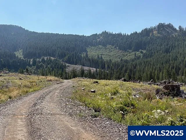 0 Neal Creek Rd photo 1