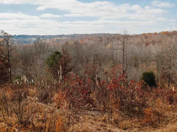 1710 Billie Br, New Concord, KY 42076