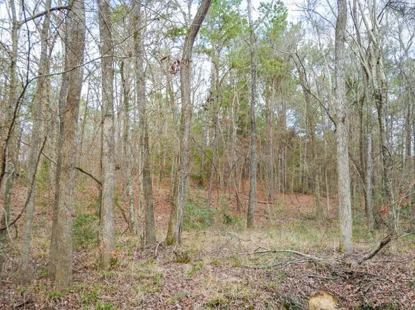 0 State Highway 315 E, Mount Enterprise, TX 75681