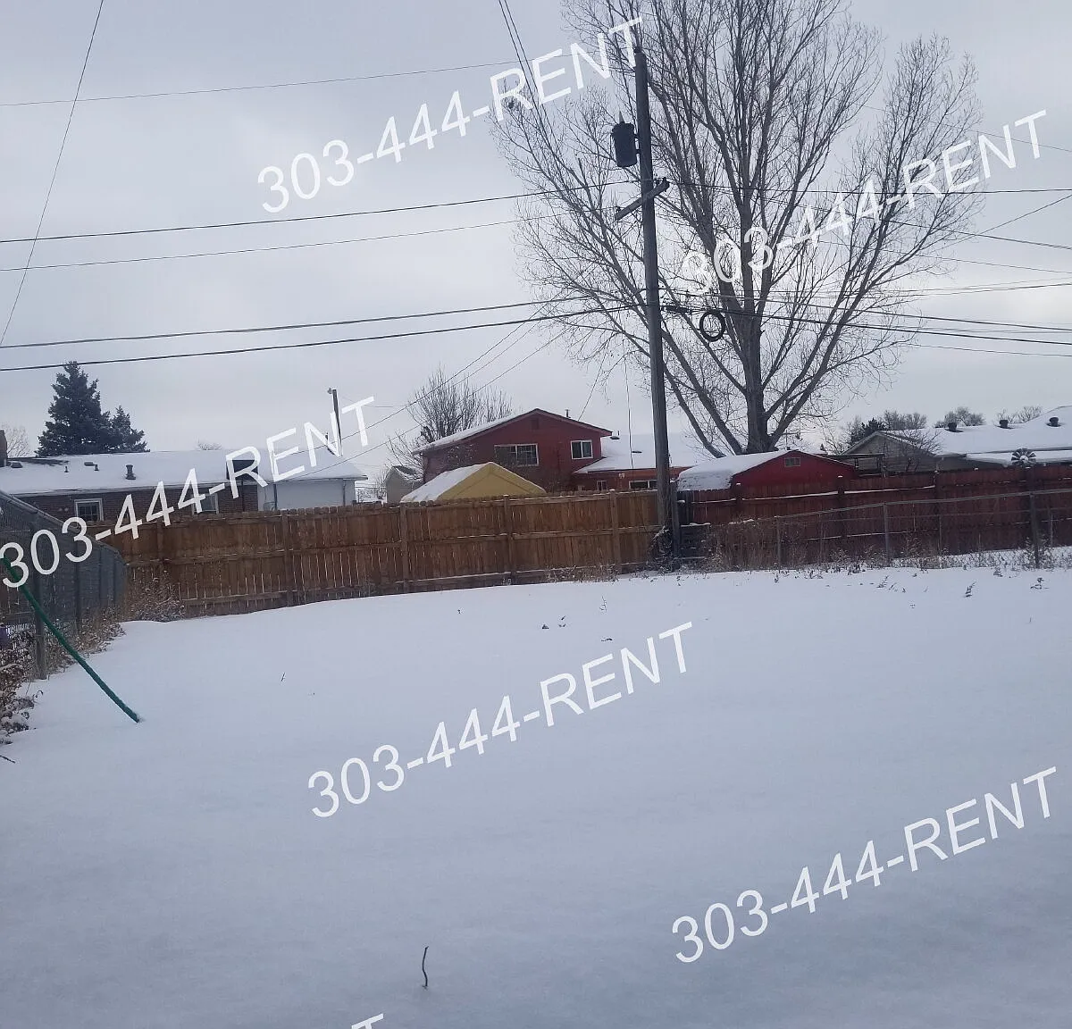 2 bed, 1.0 bath, 988 sqft, $1,860 — Photo 4