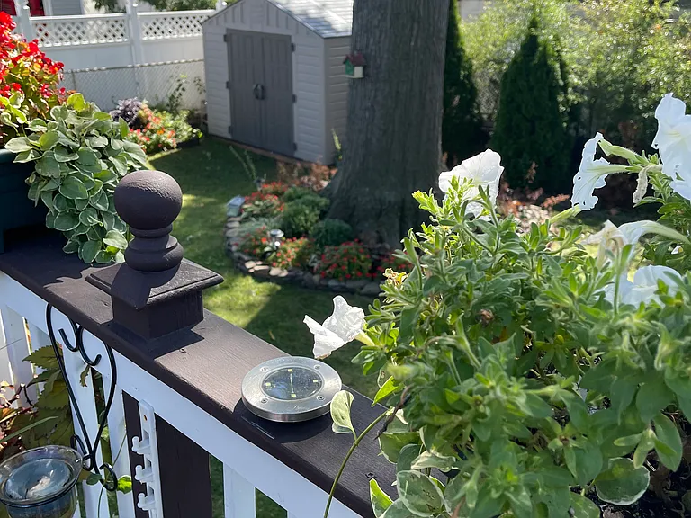 Patio/Deck