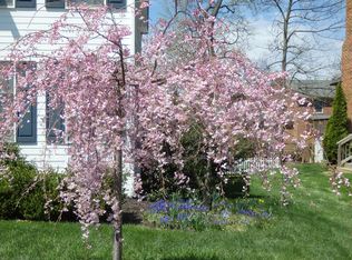 1529 Dalton Pl, Winchester, VA 22601