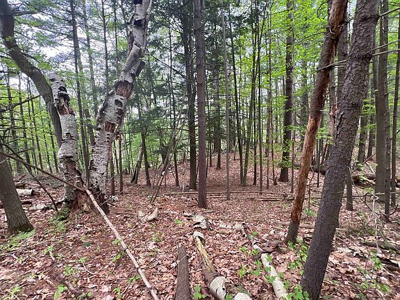 5th image of 8919 E Gladwin Rd