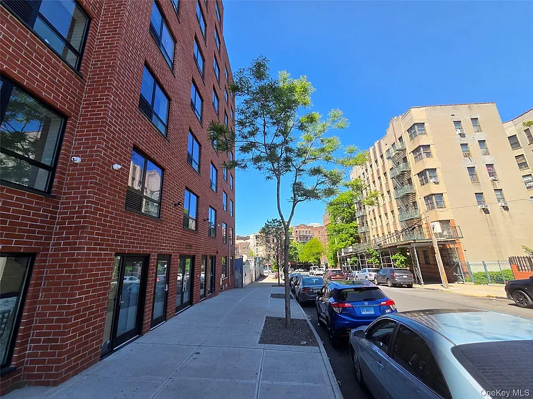 1591 Jesup Ave — Photo 5