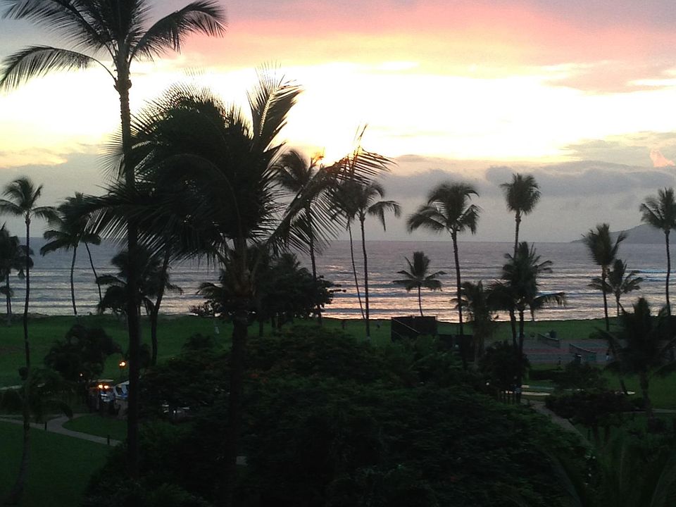 Zoomed tooceanView whenTrees trimmed