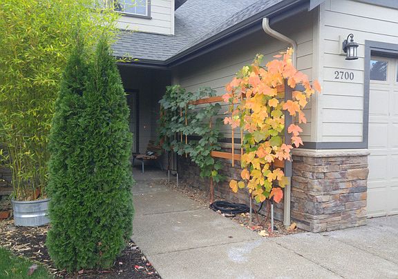 4th image of 2700 NE Cole Ave