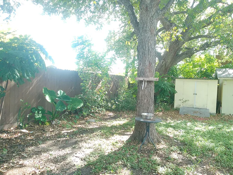 4322 Fir St — Photo 14