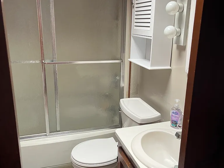 Full bathroom with skylight
