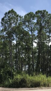 5340 Southwind Trail, Fort Pierce, FL, 34951