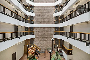 Rented by Triplemint