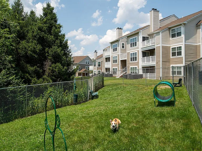 Elms Centreville — Photo 16