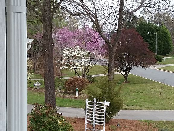 View from from porch