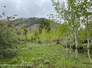 48 Middle Branch Ct, Thayne, WY 83127