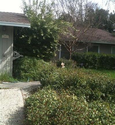 2nd image of 7001 Bridgeport Cir