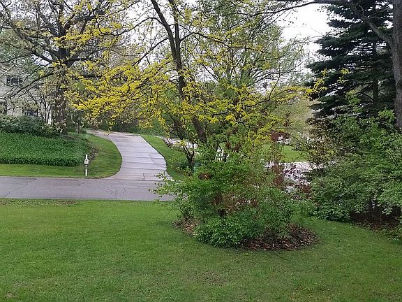 Spring Front Yard Left 01