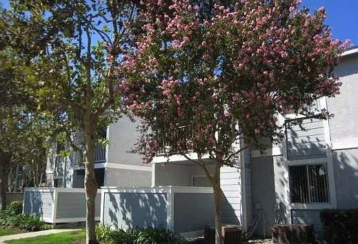 Belcourt — Photo 2