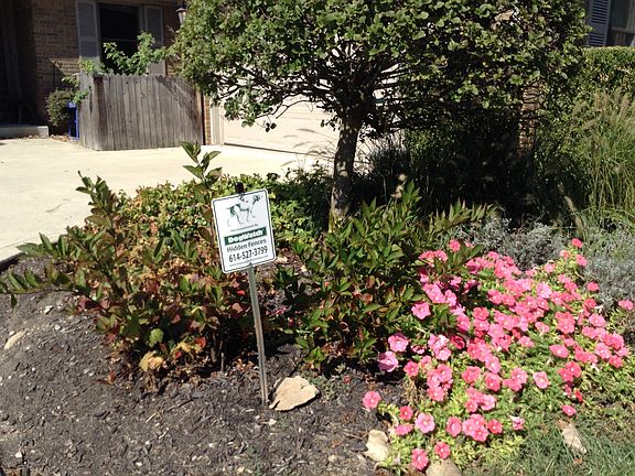 3rd image of 688 Paddlewheel Dr