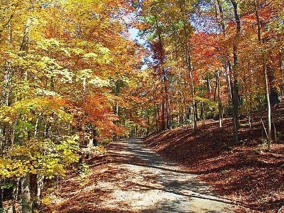 Quarter mile driveway