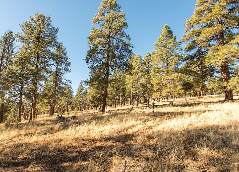 4995 W Braided Rein Flagstaff, AZ Zillow