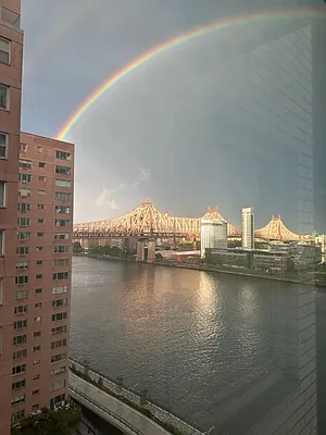 Sold by Douglas Elliman | media 15