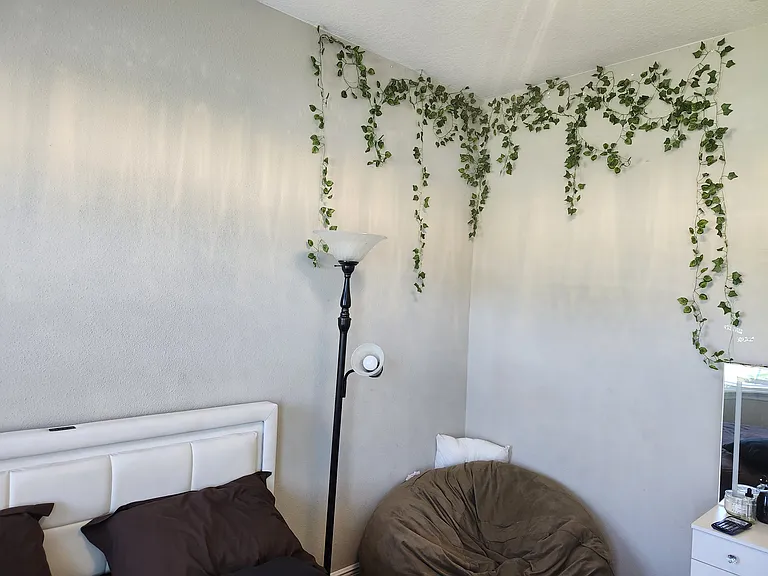 10077 Dolphin Gull Cir — Photo 6