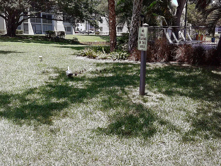 9420 Poinciana Pl #409 — Photo 2