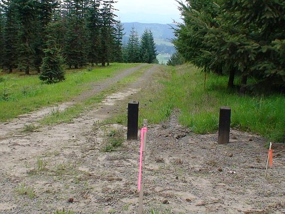 one mile west of Bald Peak Road on Albertson