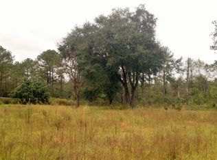 0 Big Branch Rd, Middleburg, FL 32068