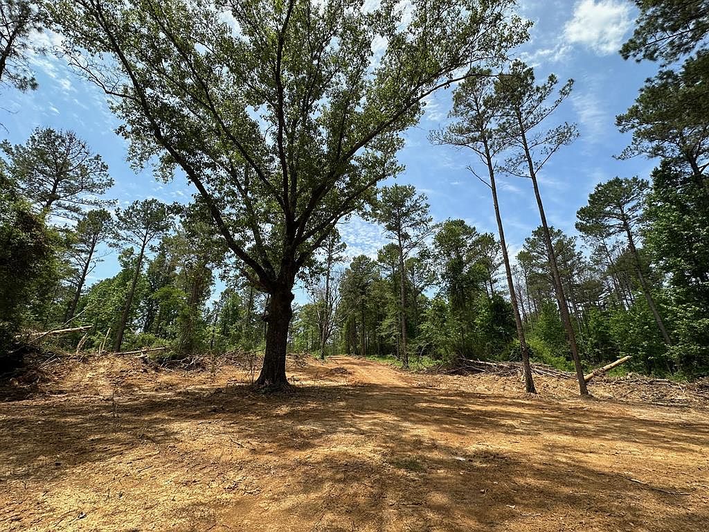 2 Ratliff Ferry Rd, Canton, MS 39046 Zillow