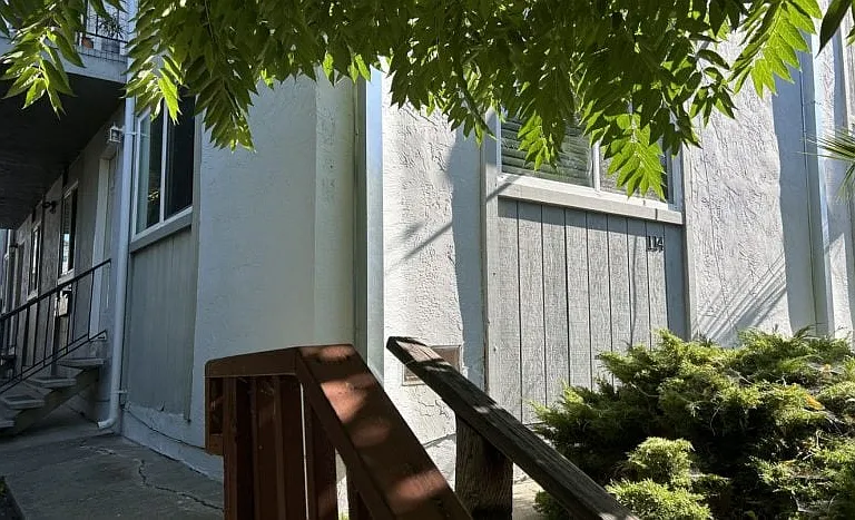 Carolina St — Photo 7
