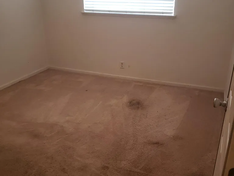 6408 Emerald Dr — Photo 5