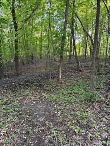 17701 Mushtown Rd, Prior Lake, MN, 55372