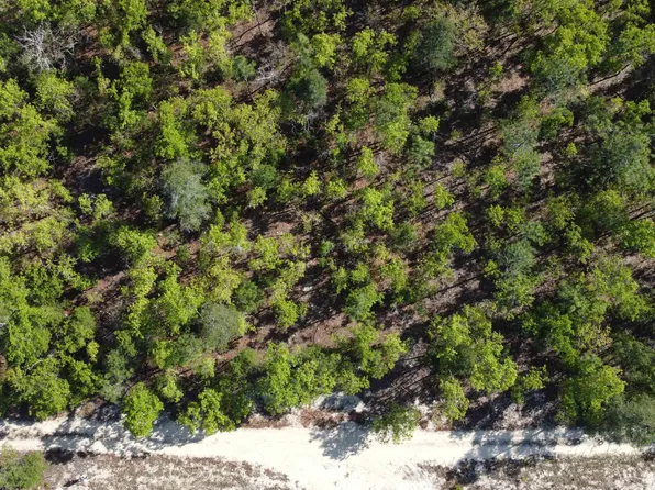 1 Lowery Acres Rd, Hosford, FL 32334
