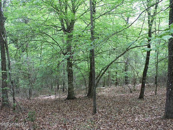 3rd image of Charlie Boyd Rd