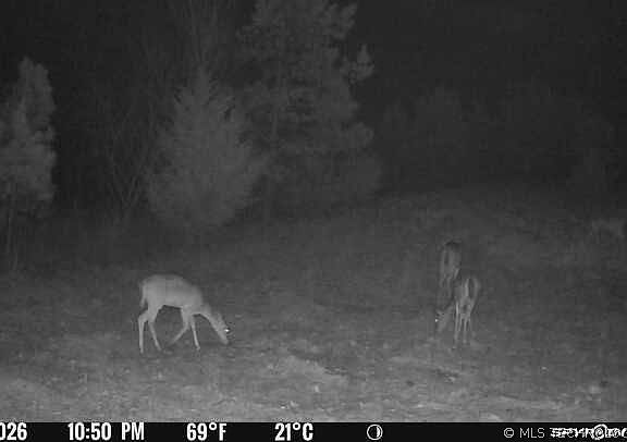 4th image of 793 NW 187th Rd