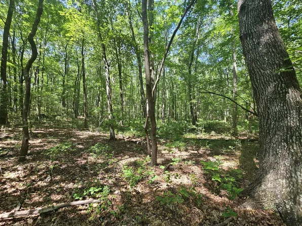 0 Snake Pond Rd, Sewanee, TN 37375