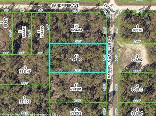 16079 Magnolia Warbler Rd, Weeki Wachee, FL 34614