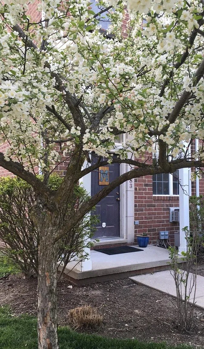 2 bed, 1.5 bath, 926 sqft, $2,100 — Photo 2
