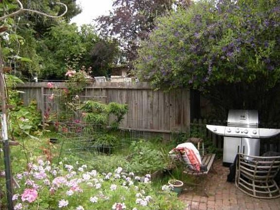 Shared Garden backyard