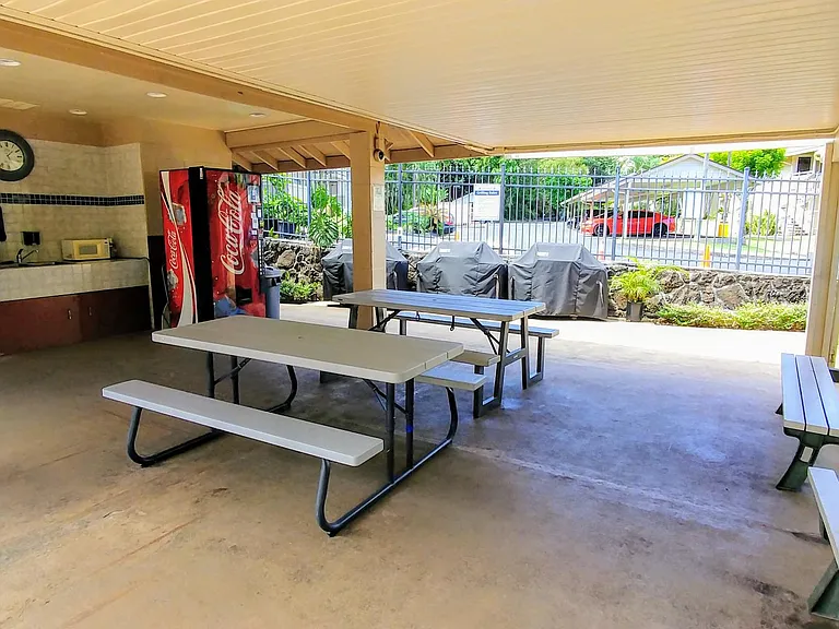 Pool and BBQ Area