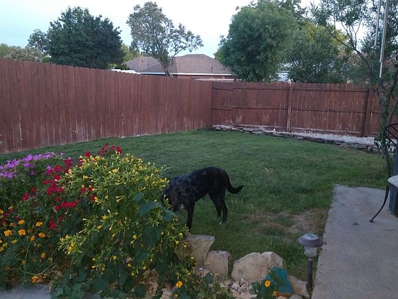 Back Yard Dining patio right