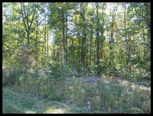 2nd image of Northwood Dr