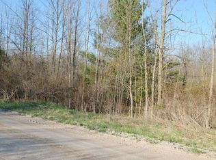 6790 Ashley Ave NE, Belding, MI