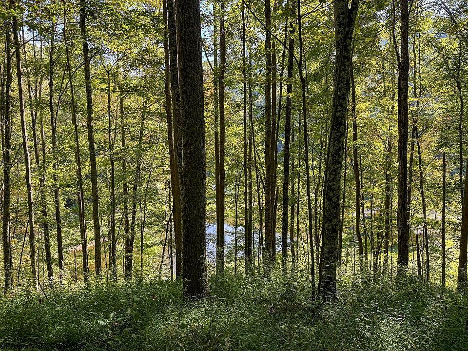 28th image of this home