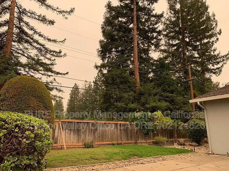 8137 Presidio Dr — Photo 14