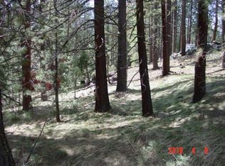 1066 Buckskin Ln, Portola, CA 96122