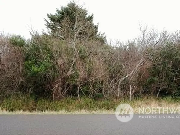 1060 Fairwood Drive SW, Ocean Shores, WA 98569