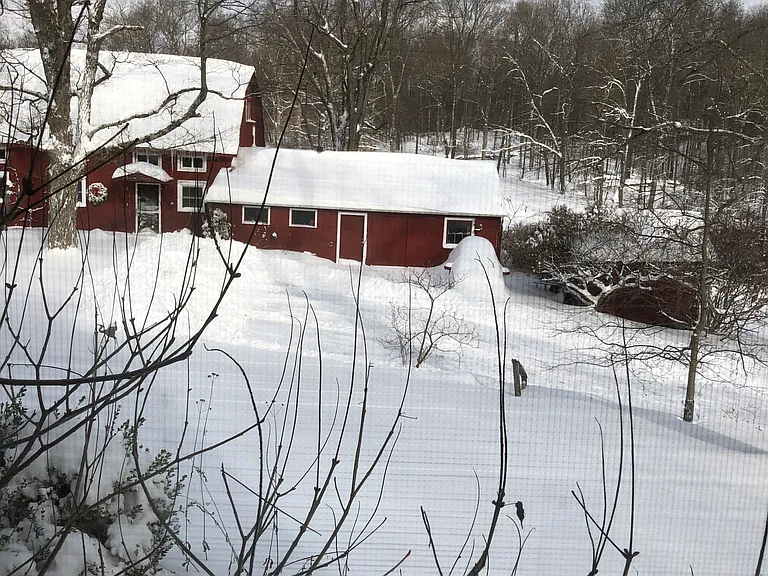 37 Red Tail Rd — Photo 35
