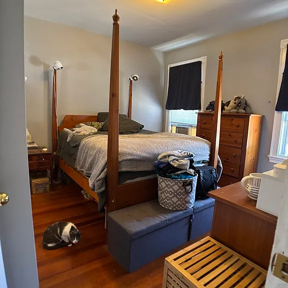 77 Bigelow Ave #2 — Photo 5
